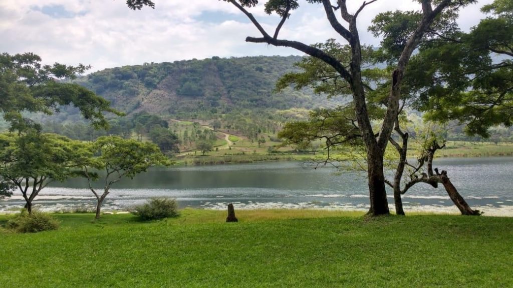 Condiciones ambientales y eutrofización de la Laguna El Pino, Guatemala, con base en variables fisicoquímicas, vegetación acuática y terrestre